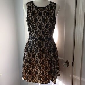 New ABS Allen Schwartz black lace overlay dress 8